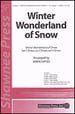 Winter Wonderland of Snow
